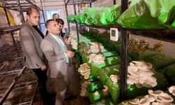 Viranşehir"de Gençler Tarımsal Üretimi Yerinde Öğreniyor!