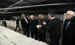 Şanlıurfa OSB’de İnceleme: Vali Şıldak Fabrikaları Ziyaret Etti