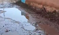 Şanlıurfa’nın Akçakale İlçe Merkezi Altyapı Yetersizliğiyle Dikkat Çekiyor