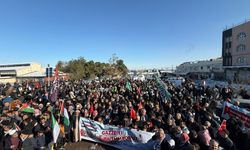 Şanlıurfa’da Filistin’e Destek Yürüyüşü Düzenlendi