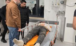 Ceylanpınar Kaymakamı Çakal, Yaralı Vatandaşları Hastanede Ziyaret Etti