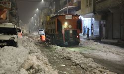 Şanlıurfa Haliliye’de Ekipler Gece Gündüz Sahada!