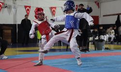 Şanlıurfa Karaköprü’de Taekwondo Turnuvası!