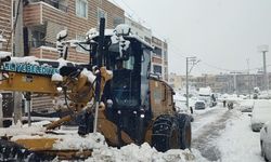 Şanlıurfa’da Haliliye Belediyesi Gece Boyunca Sahadaydı!