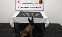 Şanlıurfa’da Uyuşturucu Tacirlerine Jandarma Darbesi