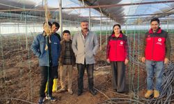 Şanlıurfa Tarım ve Orman İl Müdürlüğü’nden Hasar Tespit Açıklaması