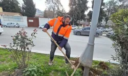 Birecik Belediyesi Kent Geneli Aydınlatma İçin Adım Attı