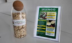 Şanlıurfa Tarımında Yerli Adım: Ata Tohumları Üreticilere Dağıtılıyor