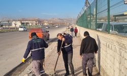 Şanlıurfa’da Yeşil Dokunuş: Mevlana Ve Sadun Paşa Caddeleri Ağaçlandırılıyor!