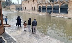 Balıklıgöl’de Oksijen Takviyesi: Su Yeniden Temizlendi!