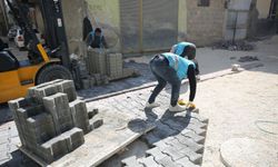 Şanlıurfa Eyyübiye’de Parklarda Peyzaj Çalışmaları Başladı!