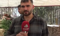 Pazarda Fiyat Alarmı: Marul Ve Patlıcan El Yakıyor!