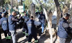 Şanlıurfa Büyükşehir’den Bayram Öncesi Mezarlıklarda Kapsamlı Temizlik!
