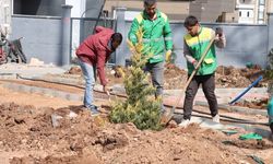 Şanlıurfa Karaköprü Belediyesi’nden Yeşil Alan Hamlesi!