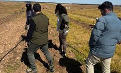 Şanlıurfa’da 125 Bin Zeytin Fidanı Toprakla Buluşuyor