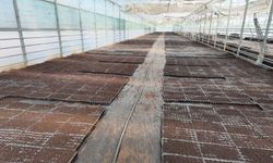 Tarımsal Üretim Kapasitesini Artıran Proje Şanlıurfa’da!