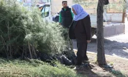 Viranşehir’de Fidanlar Toprakla Buluşuyor!