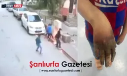 Şanlıurfa’da Elektrik Panosu İhmali Tepki Çekti!