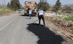 Şanlıurfa Büyükşehir’den Yol Onarım Seferberliği!