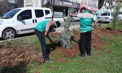 Şanlıurfa Haliliye’de Yeşil Alanlar Baştan Sona Yenileniyor!