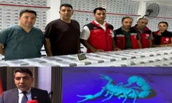 Şanlıurfa Merkezli Bioventec’ten “İğnesiz Botoks” Kremi: Akrep Zehriyle Yeni Dönem İddiası