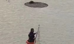 Şanlıurfa’da Havuza Düşen Tilki Doğaya Döndü!