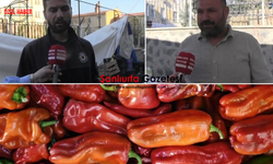 Şanlıurfa’da Pazar Yoğunluğu Dikkat Çekti: Fiyatlar Tartışma Konusu