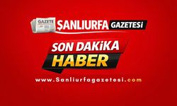 Şanlıurfada İş Kazası DEDAŞ Çalışanı Yaralandı
