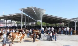 Karaköprü Belediyesi’nden Kurban Bayramı Düzenlemesi