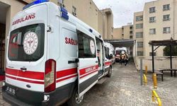 Şanlıurfa’da Kontrolden Çıkan Otomobil Şarampole Uçtu