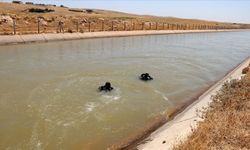 Şanlıurfa’da Sulama Kanalına Giren Kardeşler Hastanelik Oldu