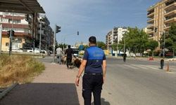 Şanlıurfa Haliliye’de Kurban Satış Noktalarına Sıkı Kontrol