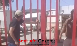 Şanlıurfa Akçakale’de Dikkat Çeken Eylem