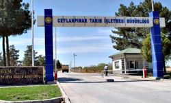 Ceylanpınar Tarım İşletmesi İçin İhale Duyurusu