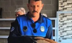 Eyyübiye’de Gıda Denetimleri Aralıksız Sürüyor!