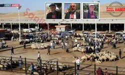 Şanlıurfa’da Kurbanlık Tepkisi: “Bu Şartlarda Çok Zor”
