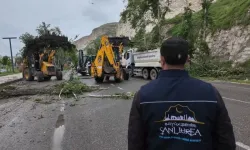 Şanlıurfa Büyükşehir Ekipleri Gece Gündüz Sahada