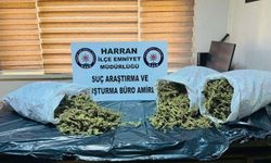 Şanlıurfa Harran’da Narkotik Operasyonu