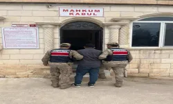 Şanlıurfa’da Jandarma Ekiplerinden Nefes Kesen Operasyon