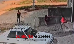 Şanlıurfa Viranşehir’de Başıboş Köpek Paniği