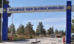 Ceylanpınar Tarım İşletmesi İçin İhale Duyurusu