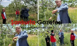 Haliliye’de Tarım Arazilerinde Hasar Tespit Çalışması