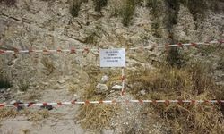 Yol Kenarında Kurban Satana Yasal İşlem Uygulanacak!