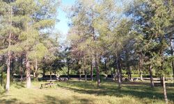 Şanlıurfa’da Sulutepe Piknik Alanının Son Hali Tepki Çekti