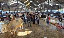 Şanlıurfa’da Bayramın İlk Gününde Dikkat Çeken Görüntüler