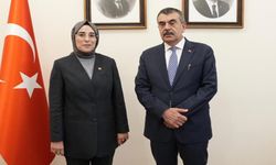 Şanlıurfa İçin Ankara Teması: Ceylanpınar’ın Eğitim Talepleri Bakan Tekin’e İletildi