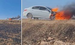 Şanlıurfa Suruç-Akçakale Yolunda Otomobil Alev Alev Yandı