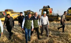 Şanlıurfa Valisi Şıldak Ceylanpınar’da Buğday Hasadına Katıldı!