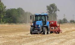 Şanlıurfa’da Çiftçiye Büyük Destek! Anıza Ekim Çalışmaları Genişletildi