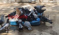 Şanlıurfa’da Yaz Sıcağı Etkisini Artırdı: Termometreler Zirvede